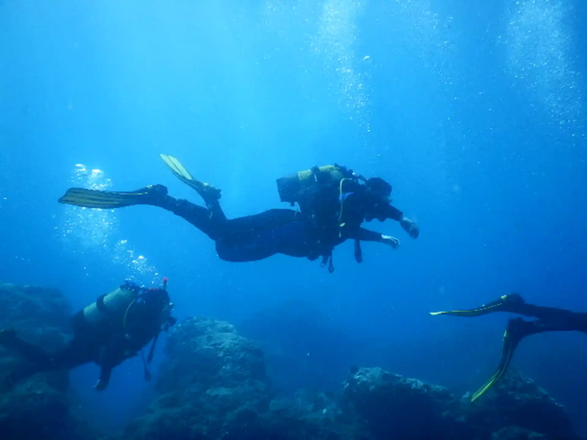 Buceador y practicante de snorkel explorando un arrecife rocoso del Mediterráneo