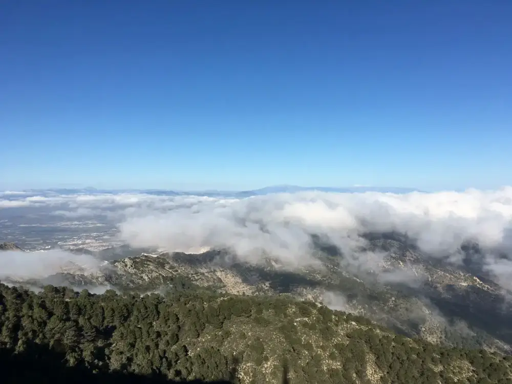 Mina de la Trinidad - Cerro del Moro