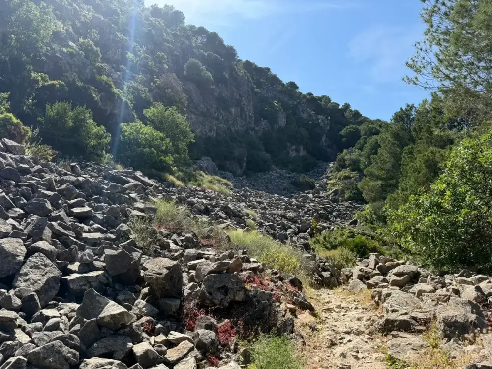 PR-A 56 Sendero Tajo del Quejigal