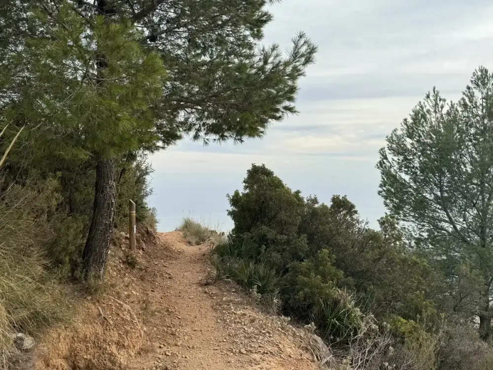 Puerto Viejo - Cima Calamorro
